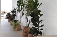 Vista Mare 1 - double room by the sea - Foto 17