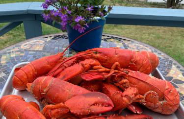 Trade Winds on the Bay - Foto 80