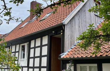 Lateinschule - Foto 1