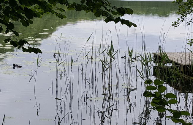 Haus Waldidyll am See 1 - Foto 26