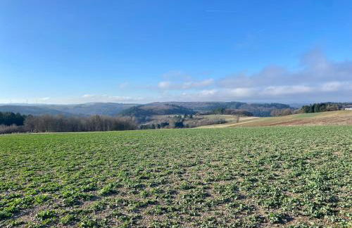 Familienwohnung im Hochwald Nähe Trier und Mosel ruhig und naturnah - Foto 19