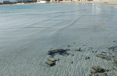 White House - Foto 24