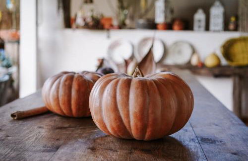 Casa Rural Oliveira do Bairro - Foto 8