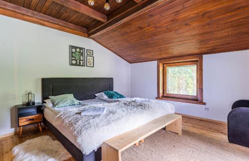 Imperial Apartments - Villa Koleczkowo - Foto 3