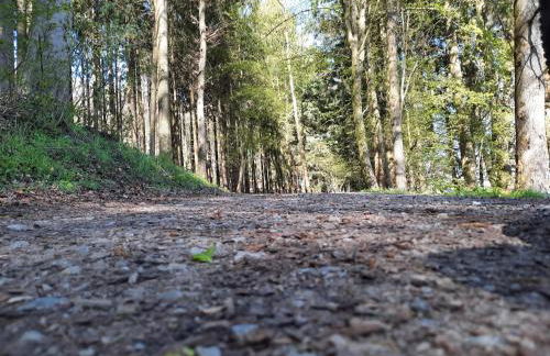 Ferienwohnung im Malerischen Eslohe - Foto 61