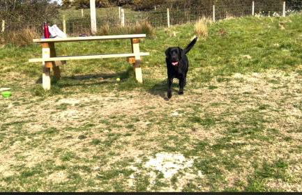 Granary Retreat for 2 inc shared Dog Field - Foto 39