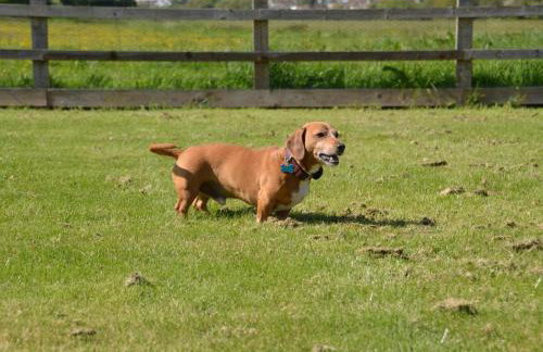 1 Bed in Taunton oc-74144 - Foto 36