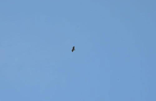 Apartment in Feldberger Seenlandschaft - Foto 21