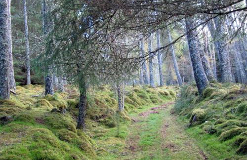 1 Bed in Alness oc-ca015 - Foto 20