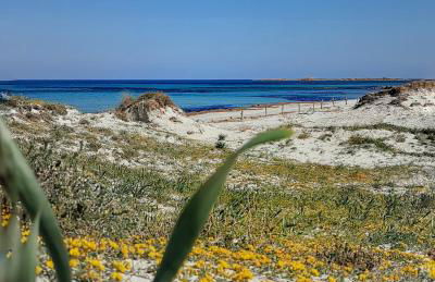 Green House - Foto 56