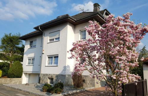 Dreieich-Buchschlag, Breitseeweg - Foto 1