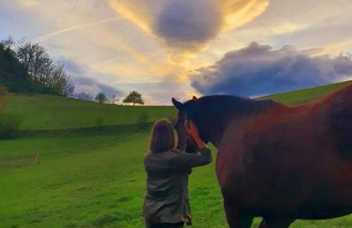 La Masia del Batlle - Photo 56