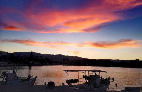 Apartments Jasu - Photo 66