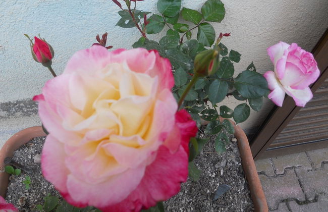 Agriturismo Monti Sibillini Camperato - Photo 31