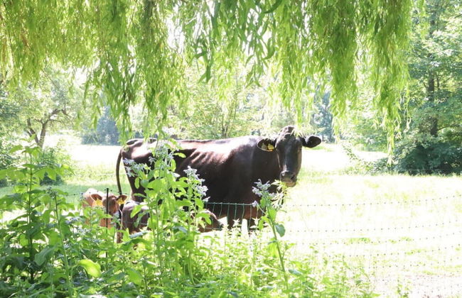 Holiday Home Heinrich - Photo 16