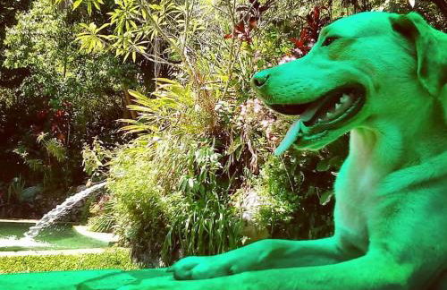 Sítio Caldeirão - Chalé Azul - Foto 12