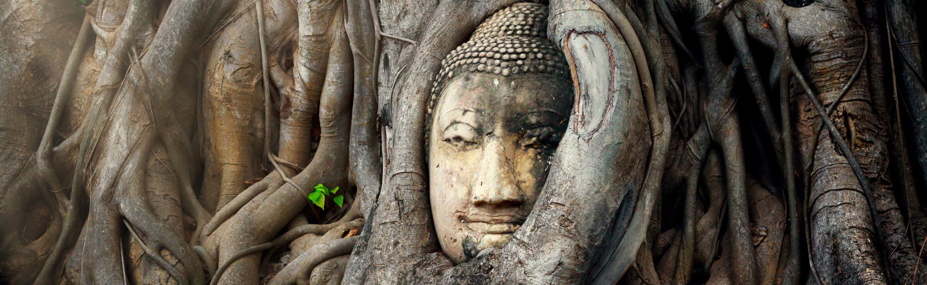 Mercado sobre las vías, mercado flotante y ruinas de Ayutthaya