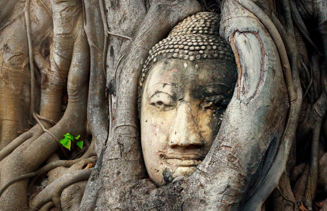 Mercado sobre las vías, mercado flotante y ruinas de Ayutthaya - Foto 1