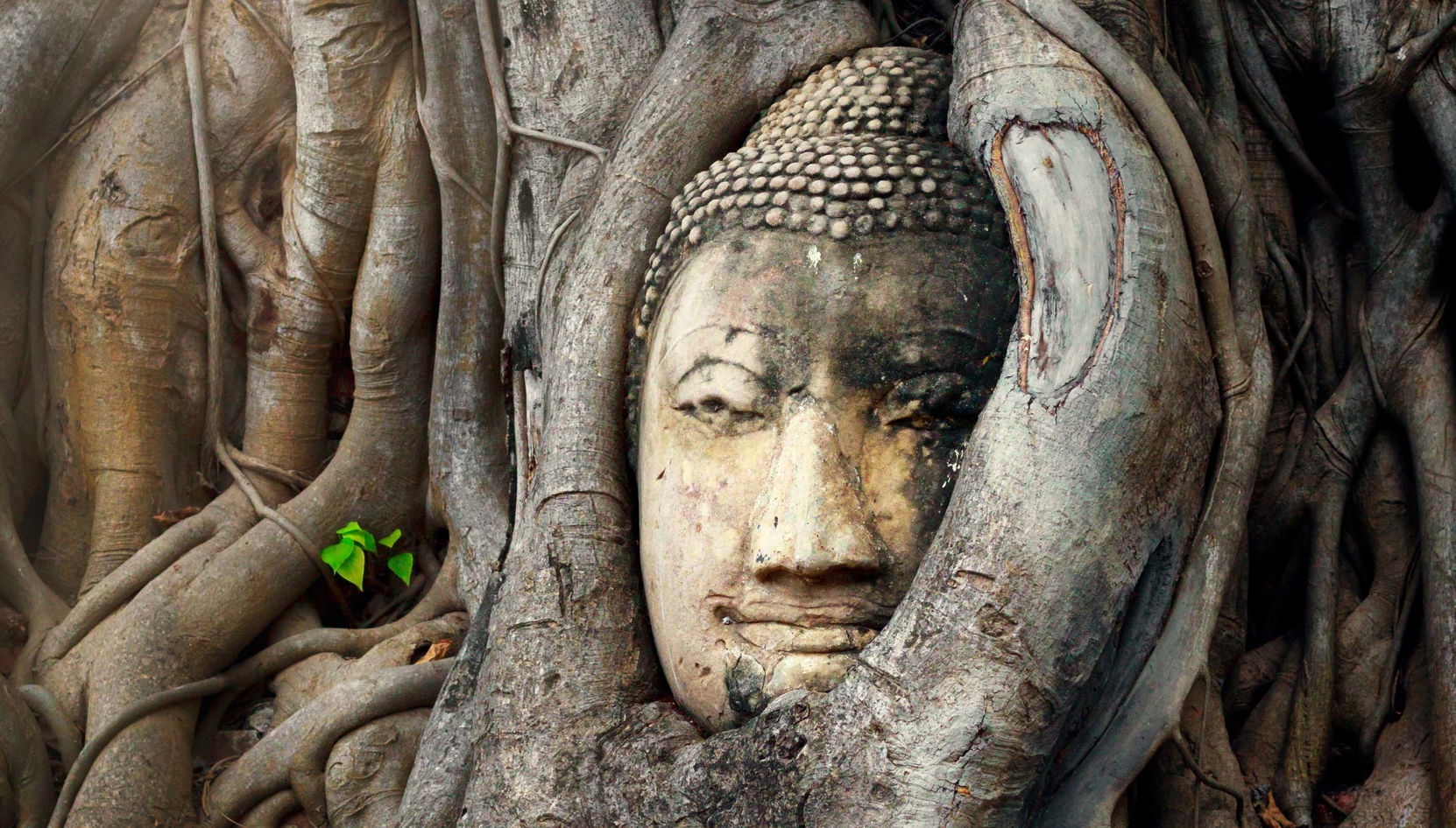 Escursione al mercato sui binari e galleggiante + Parco storico di Ayutthaya