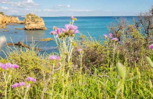 Casa Joaninha - Heated pool - Algarve - Foto 80