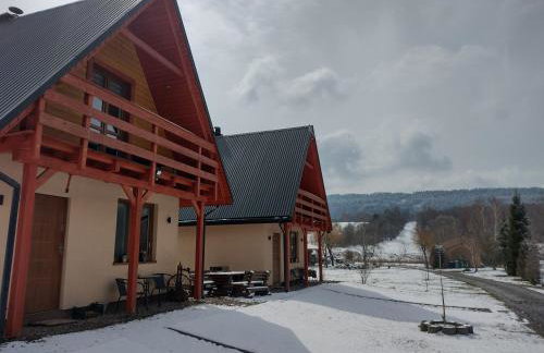 Domki Brzozówka w Bieszczadach - Foto 2