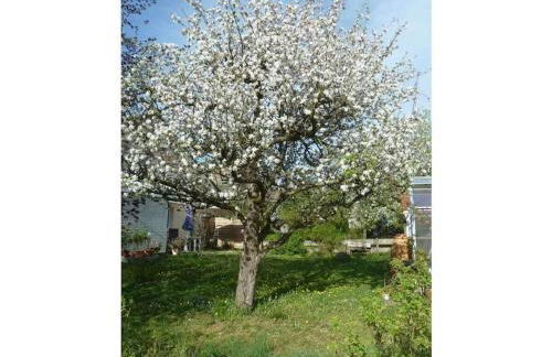 Moni's holiday home - Foto 8