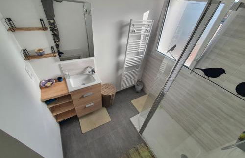 LA PETITE SALAMANDRE des Conches - Foto 13