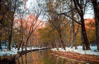 Mountain Lodge T3 Duplex Abrigo do Lobo - Foto 77