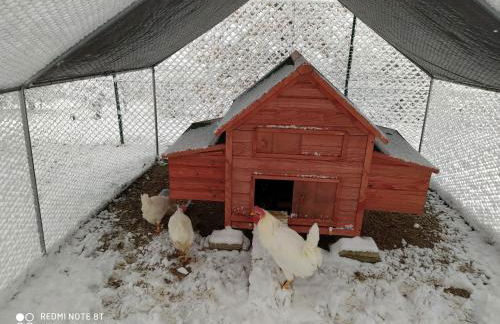 Azienda Agrituristica Il Moraiolo - Photo 13