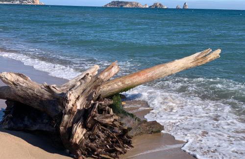 Mas Pinell 3 -Viu bé - Foto 39