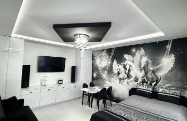 Apartament Pegaz - Foto 6