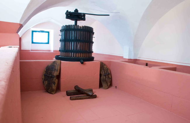 Azienda Agricola Francesca Stajano - Foto 70