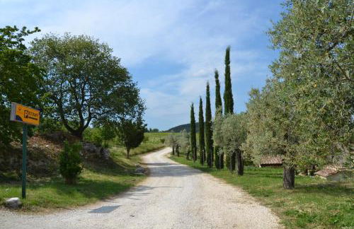 Tenuta Pizzogallo - Foto 67