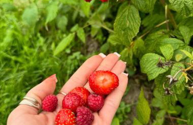 Agroturystyka nad jeziorem Silickim Ilińscy - Foto 66