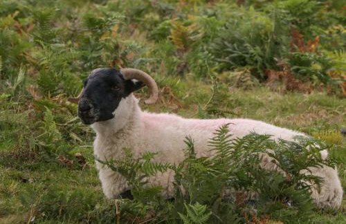 9 Malthouse Court - Foto 29