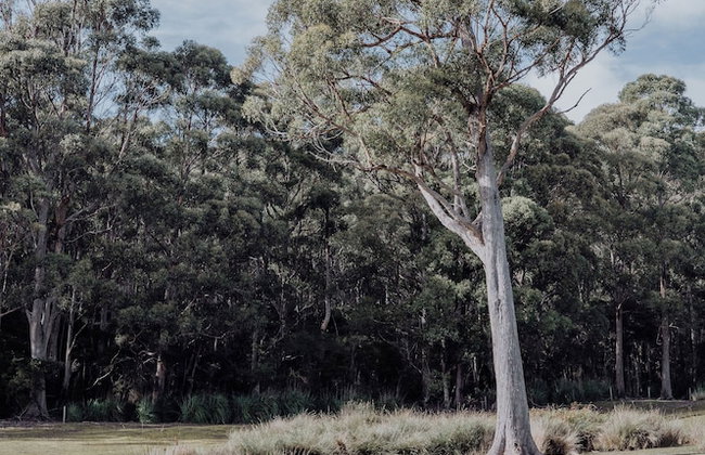 Adventure Bay Retreat - Foto 19