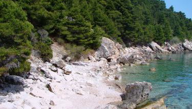 Apartments with parking space Borje, Peljesac - 12507 - Foto 5