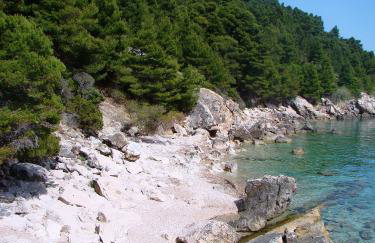 Holiday house with a parking space Borje, Peljesac - 12506 - Foto 5