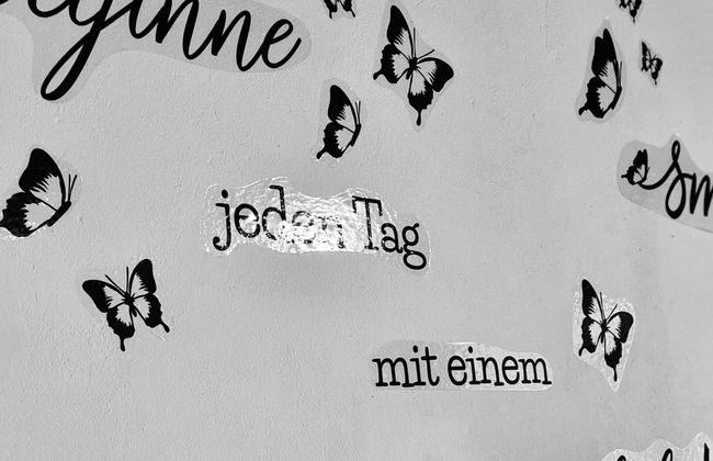 Sonnenhang - Foto 49