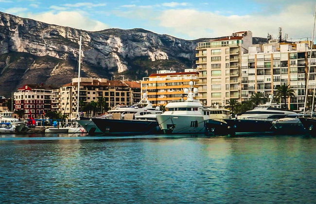 Observation de dauphins et de baleines à Dénia - Photo 4
