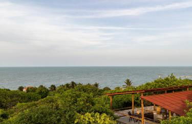 Casa Perobinha - Foto 1