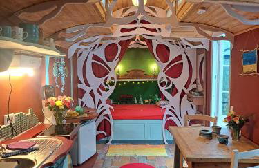 Tiny Haus - Sternenblick - Sauna - Foto 22