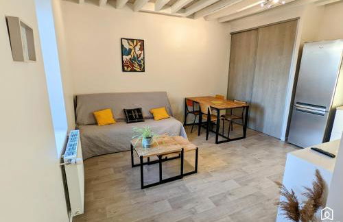 Gîte - Terrasse - Jardin - Soleil - Parking - Tram - Photo 3