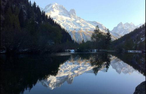 Apartment Chinook,La Praz,Chamonix Mont Blanc - Photo 42