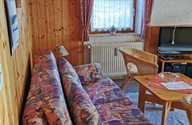 Haus Haidweg - Ferienwohnungen in Haidmühle im Dreiländereck DE-CZ-AT - Foto 37