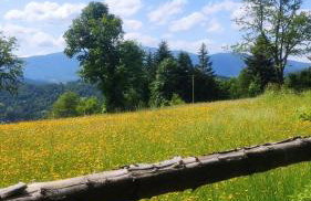 Zacisze na Wzgórzu - Foto 24