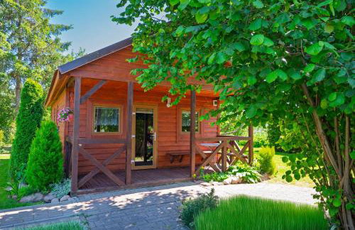 ZŁOTY OGRÓD - Foto 2