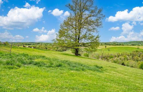 Llama House - Foto 37