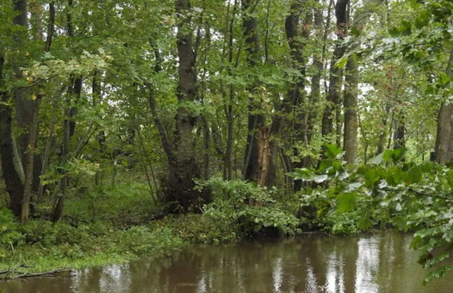 Central Gem in Frederikshavn - By Traum Ferienwohnungen - Foto 26