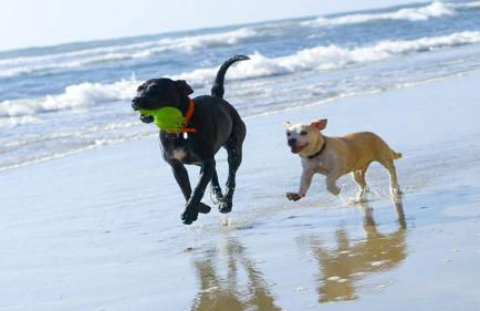 Romantic Cosy Cottage with Beach & Attractions just mins away! Perfect for Couples & Family Stays - Free Parking, Large Garden & Free WiFi - Foto 21